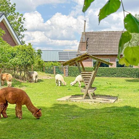 Alpacafarm Vorstenbosch Buitenkant foto