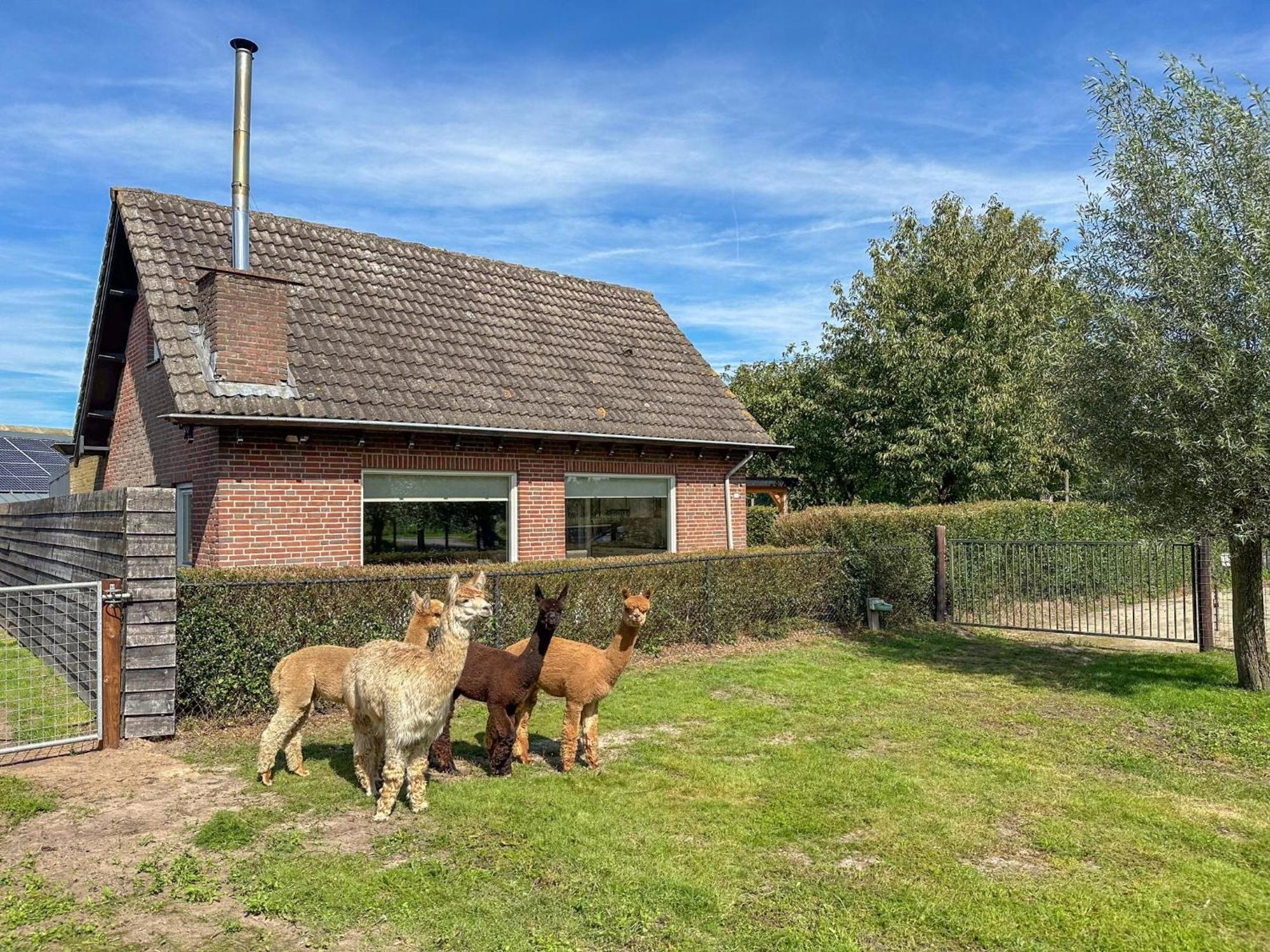 Alpacafarm Vorstenbosch Buitenkant foto