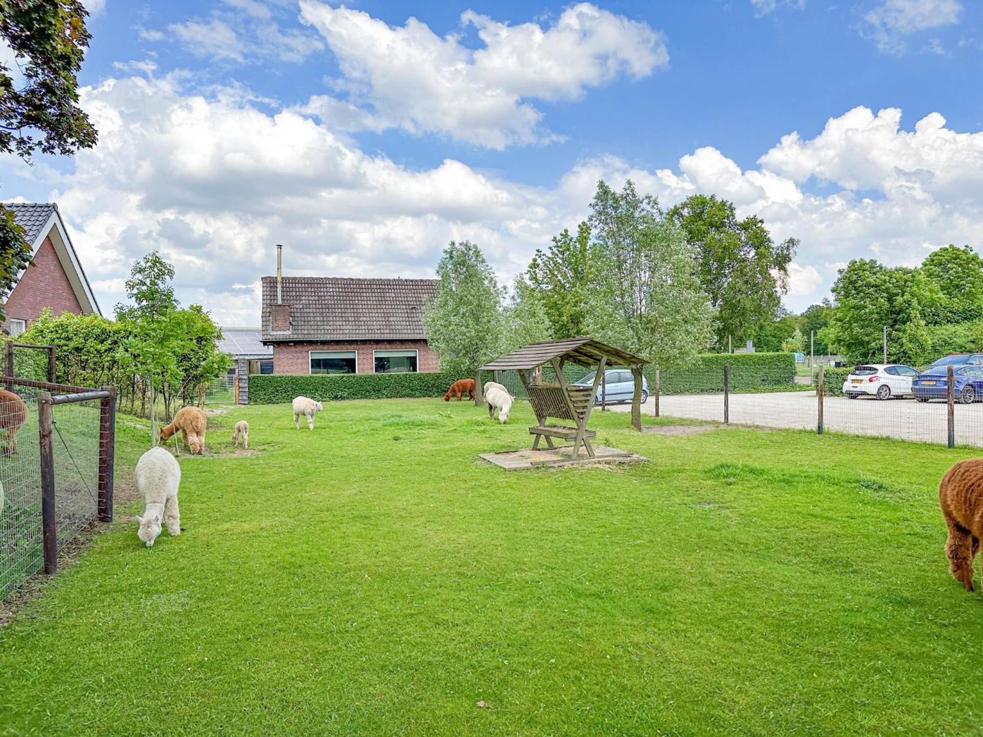 Alpacafarm Vorstenbosch Buitenkant foto