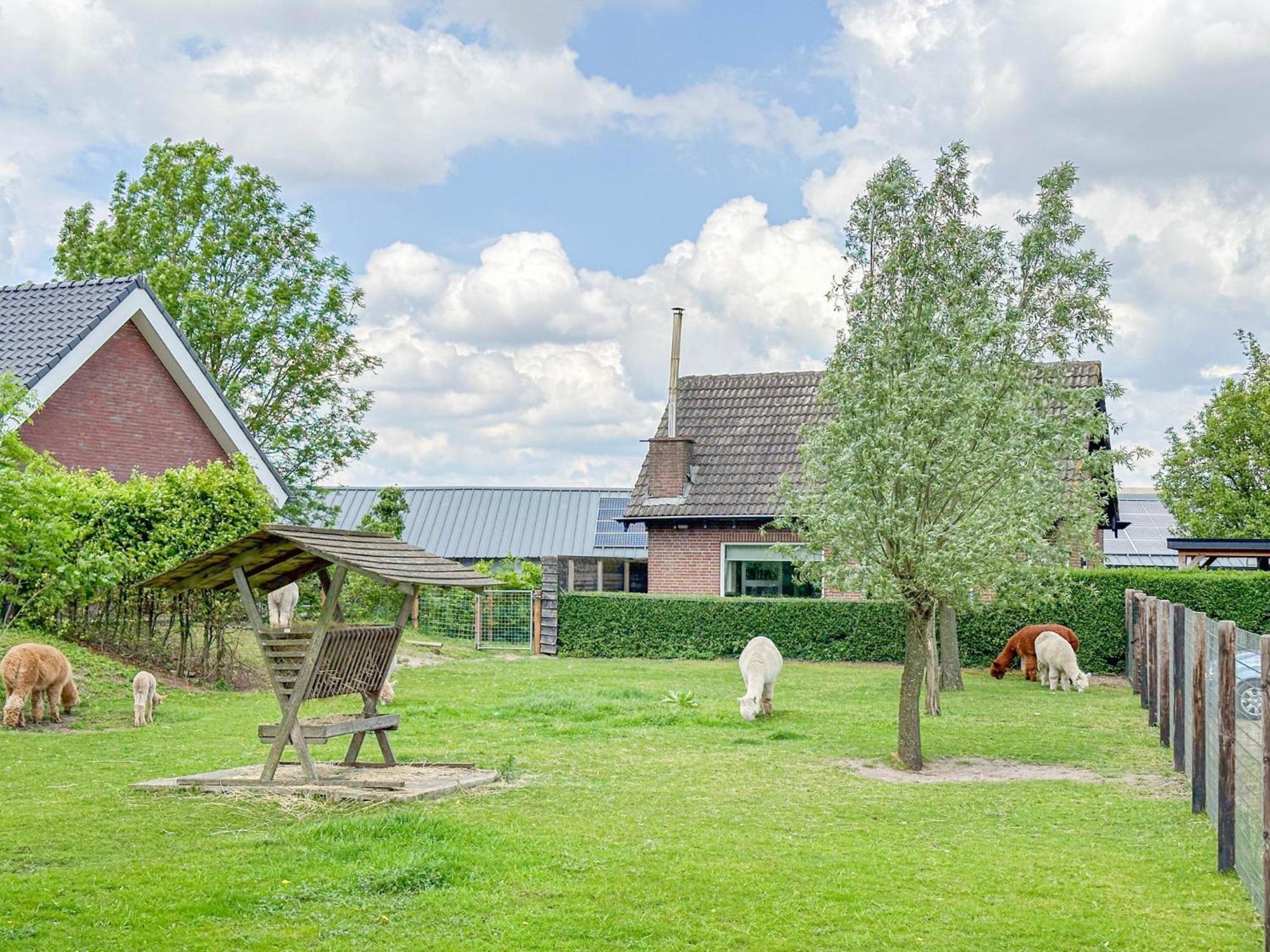 Alpacafarm Vorstenbosch Buitenkant foto