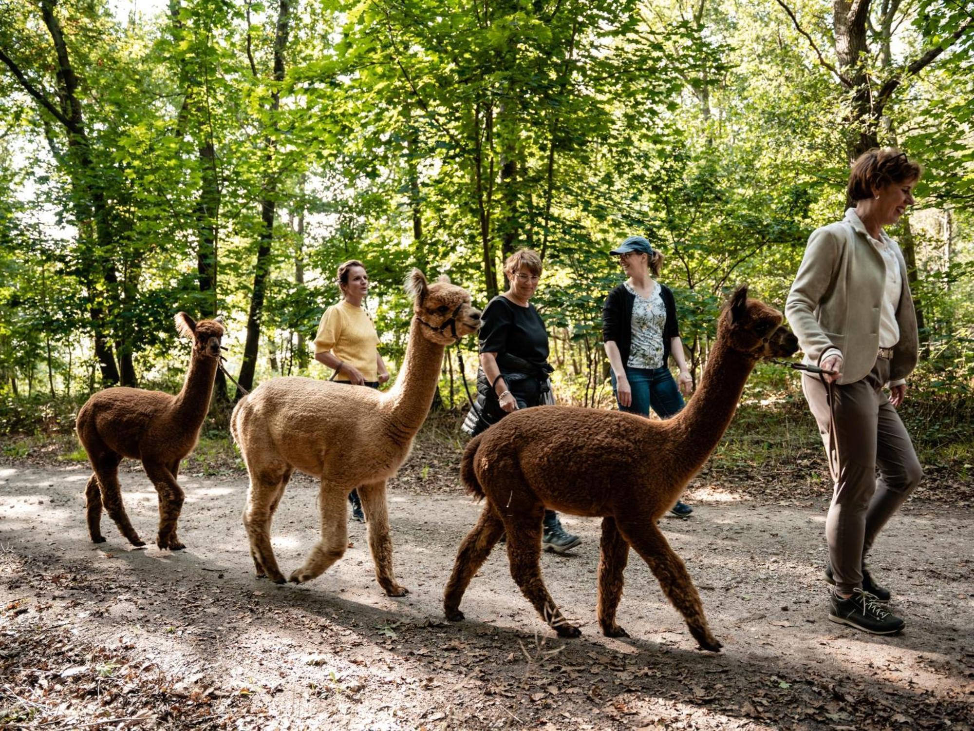 Alpacafarm Vorstenbosch Buitenkant foto